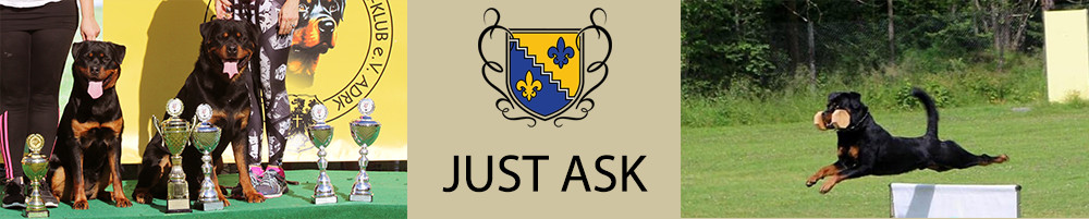 Just Ask