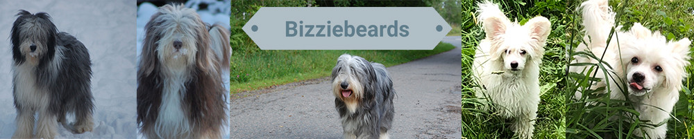 Bizziebeards