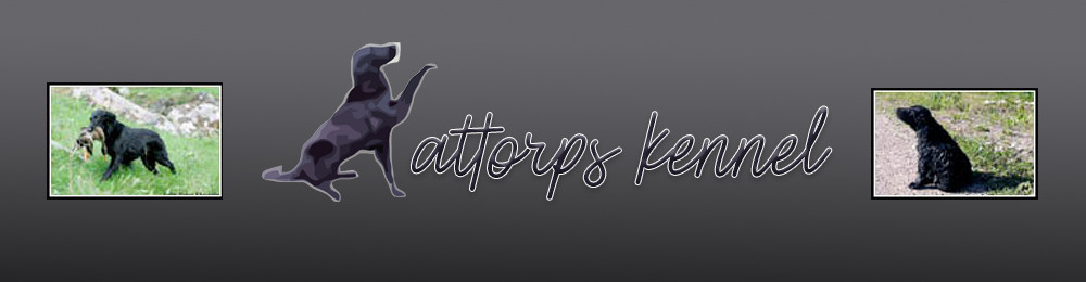 Kattorps
