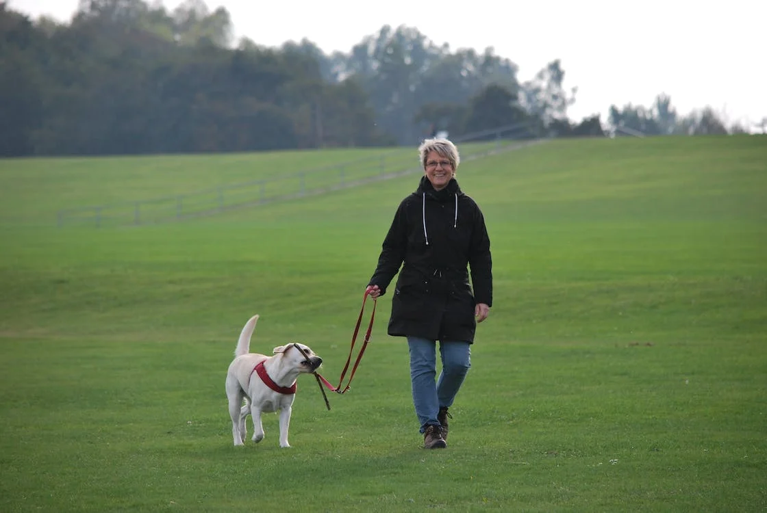 Dog walk